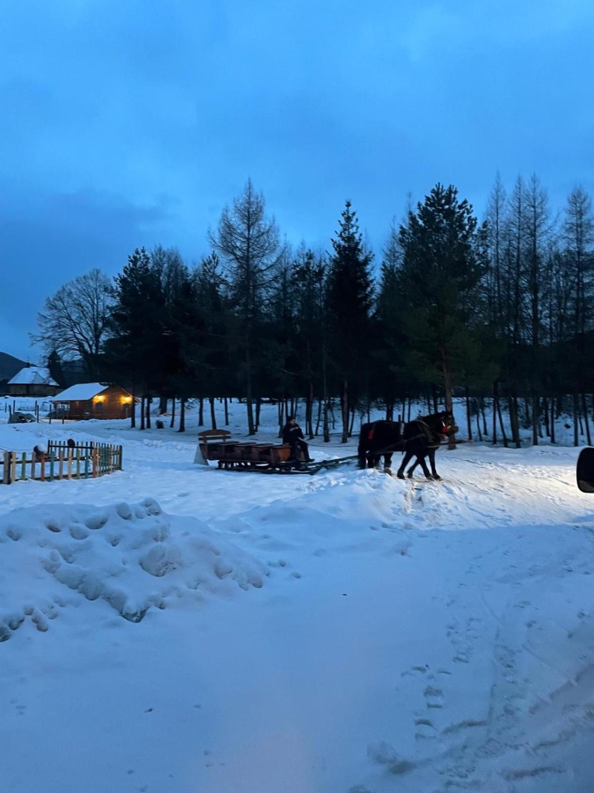 ホテル Latarnia Wagabundy Bieszczady Wola Michowa エクステリア 写真