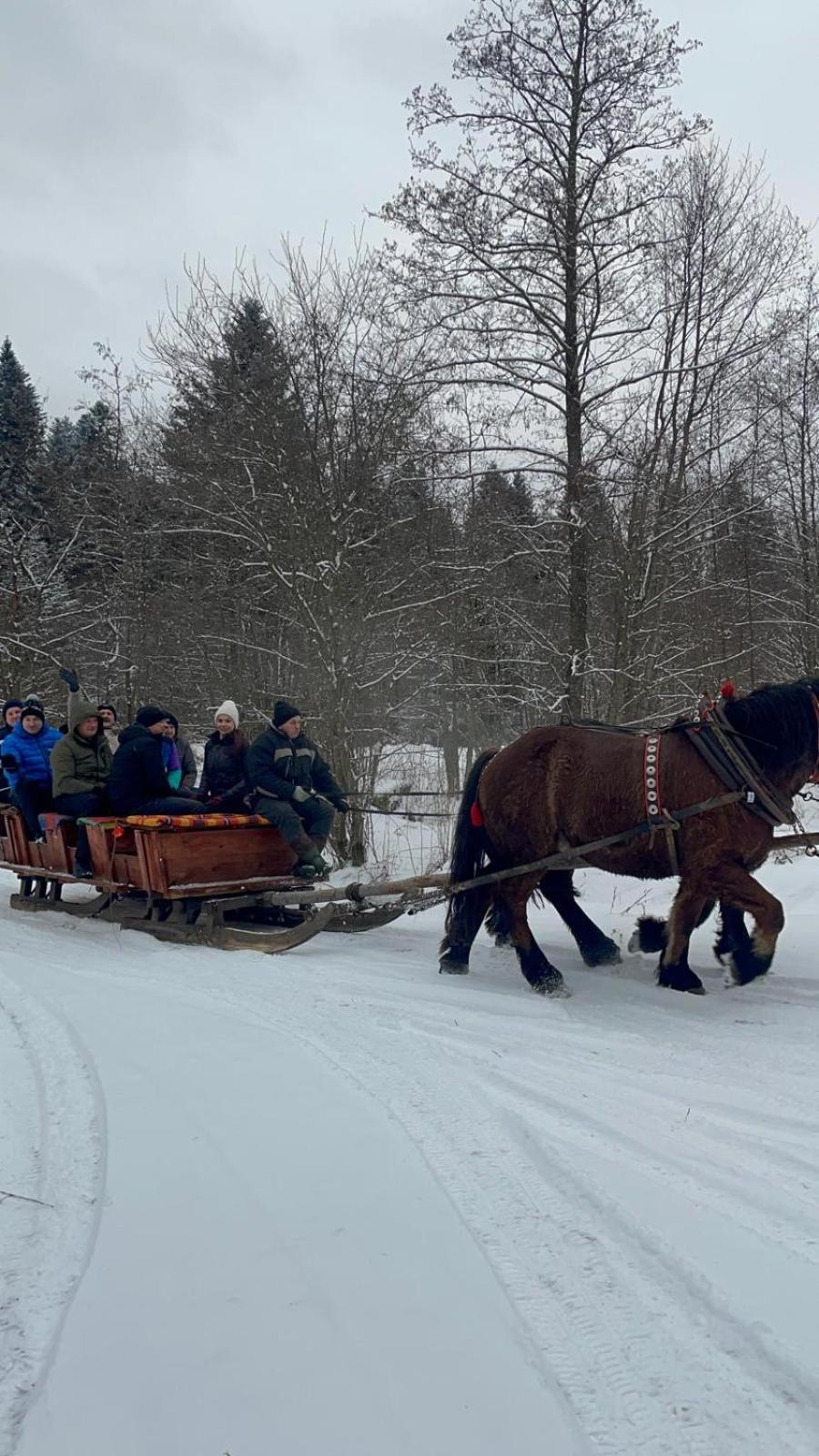 ホテル Latarnia Wagabundy Bieszczady Wola Michowa エクステリア 写真
