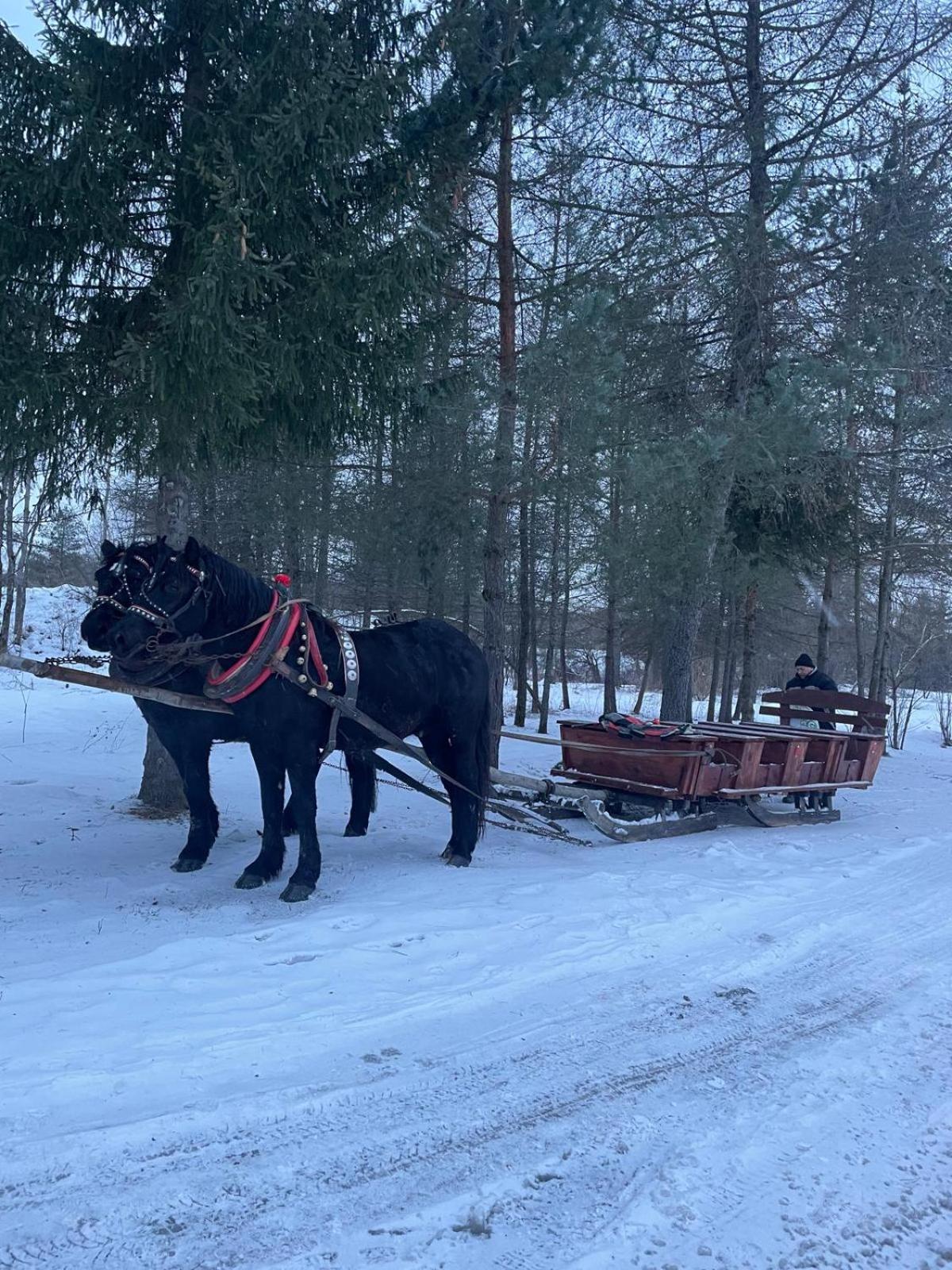 ホテル Latarnia Wagabundy Bieszczady Wola Michowa エクステリア 写真