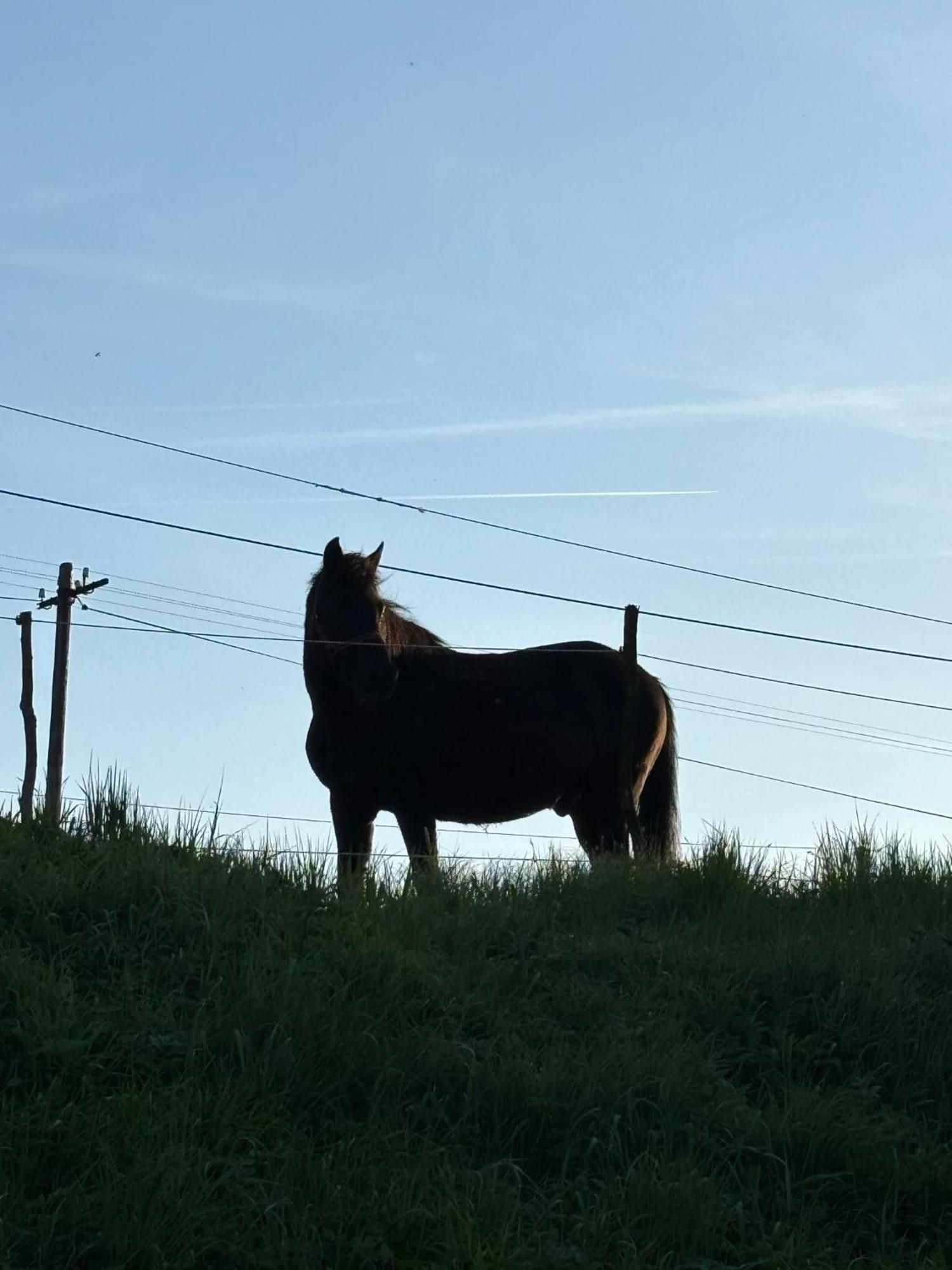 ホテル Latarnia Wagabundy Bieszczady Wola Michowa エクステリア 写真