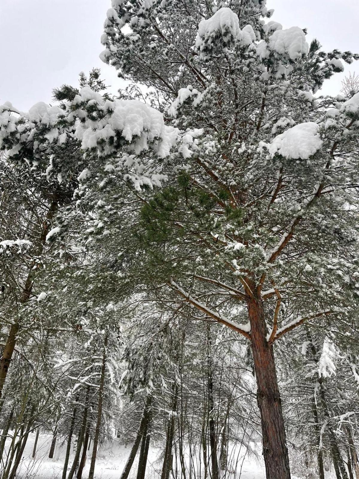 ホテル Latarnia Wagabundy Bieszczady Wola Michowa エクステリア 写真