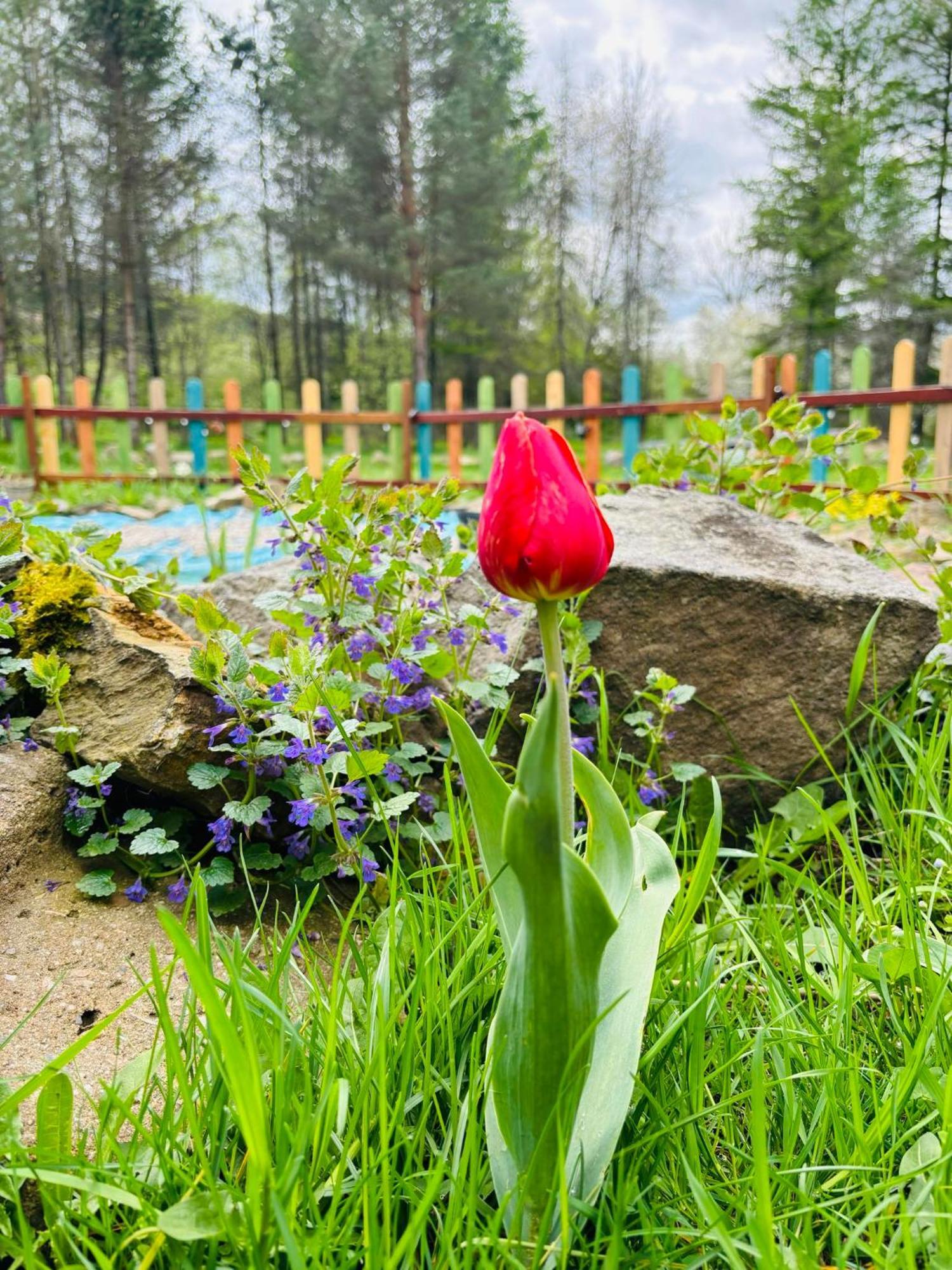 ホテル Latarnia Wagabundy Bieszczady Wola Michowa エクステリア 写真