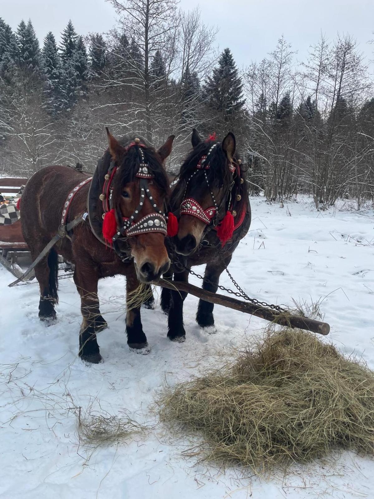 ホテル Latarnia Wagabundy Bieszczady Wola Michowa エクステリア 写真