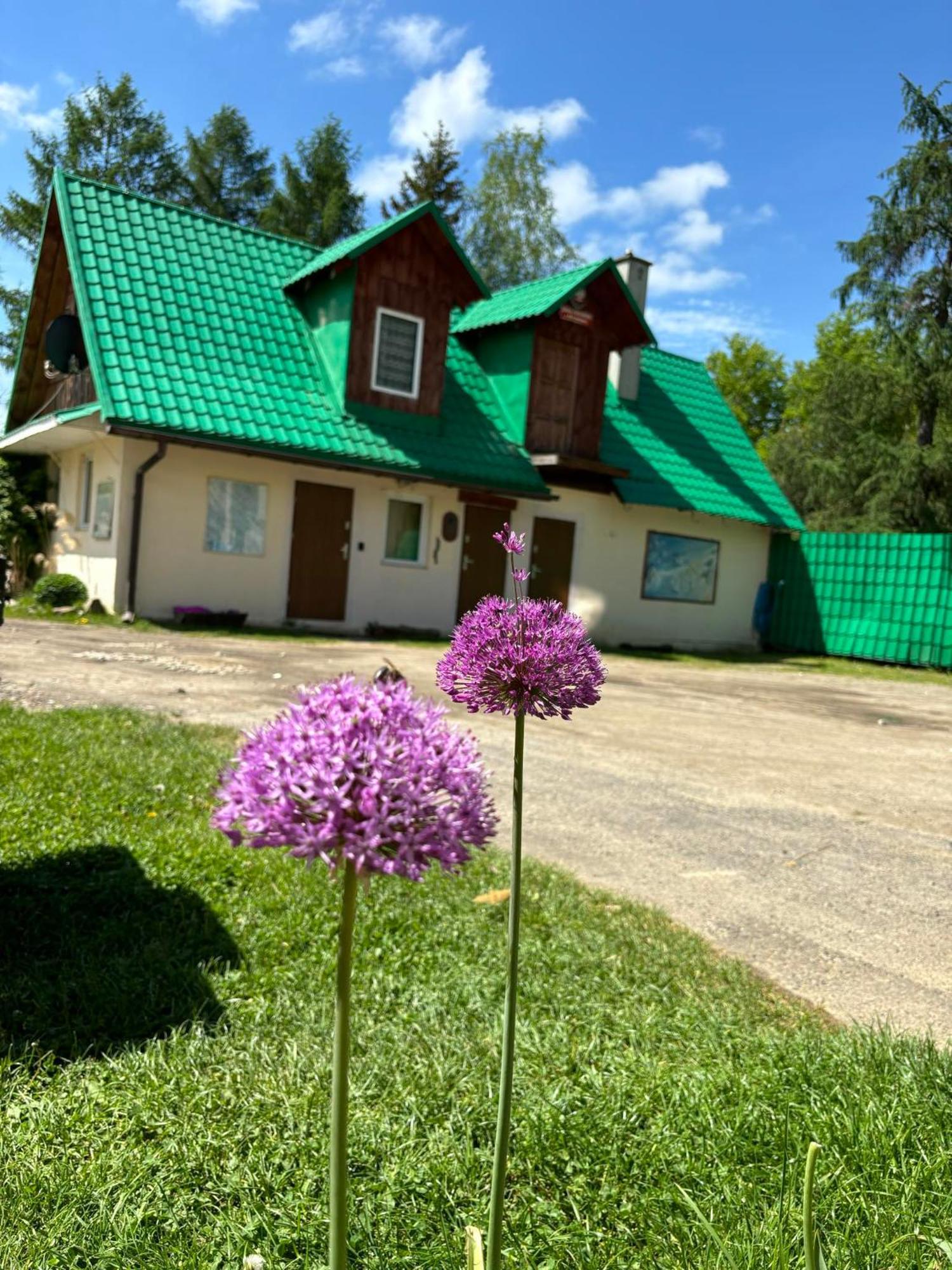 ホテル Latarnia Wagabundy Bieszczady Wola Michowa エクステリア 写真