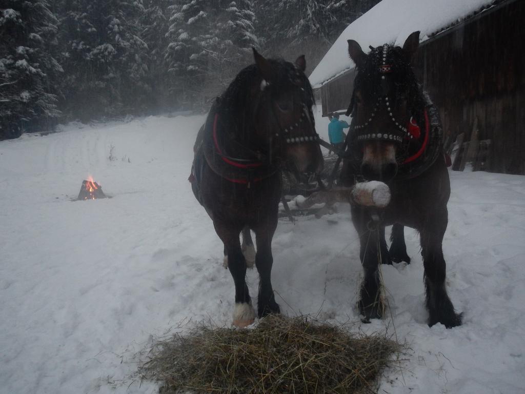 ホテル Latarnia Wagabundy Bieszczady Wola Michowa エクステリア 写真