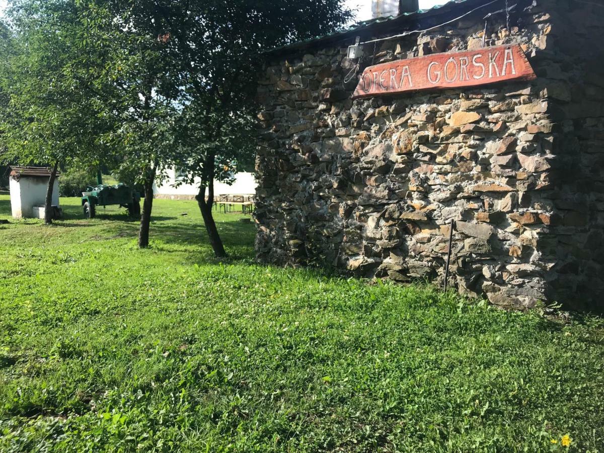 ホテル Latarnia Wagabundy Bieszczady Wola Michowa エクステリア 写真